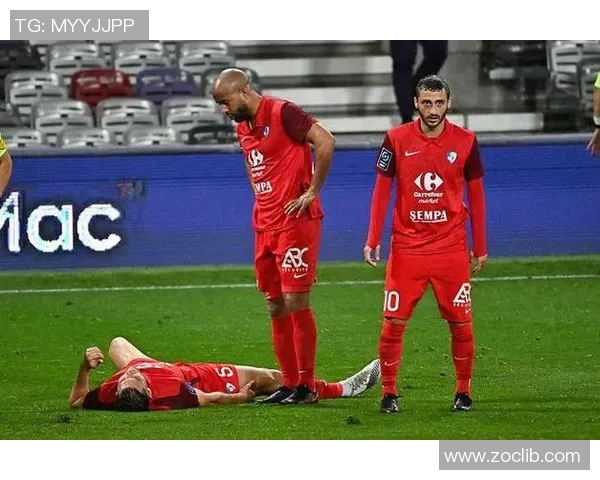 尼斯与甘冈历史交锋数据分析及比分回顾